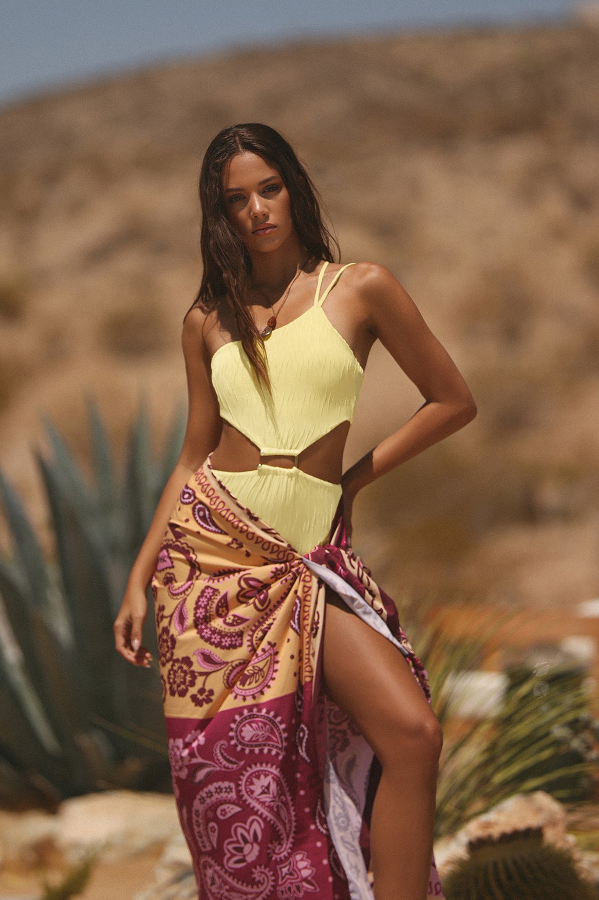 ENTERO VIRGINIA SOLEIL