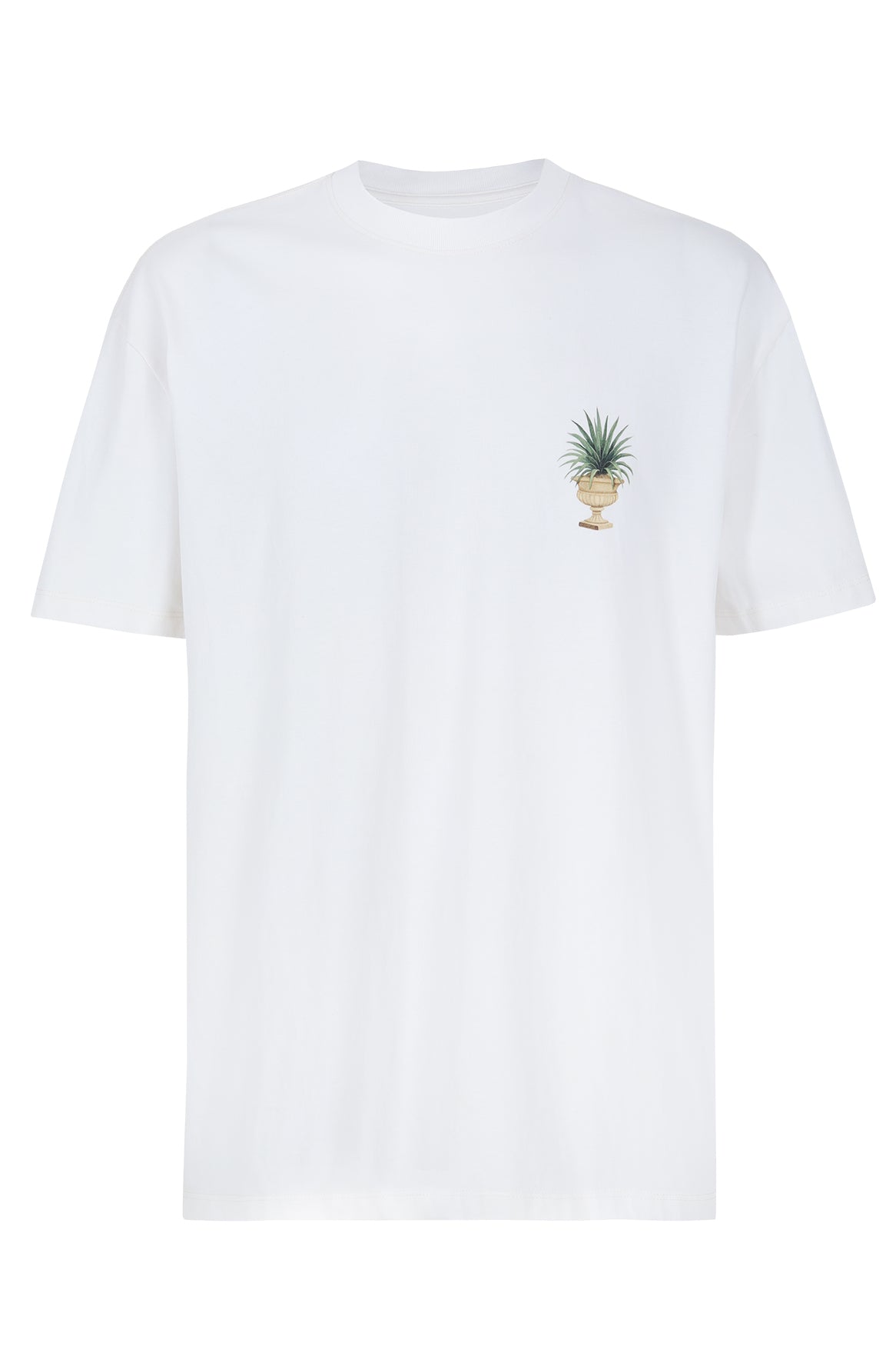 CAMISETA LEVI OLIMPO