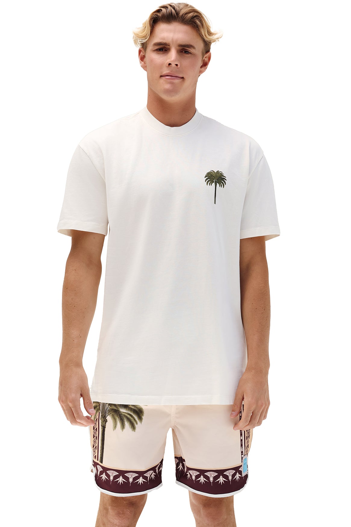 CAMISETA LEVI SOLASTA