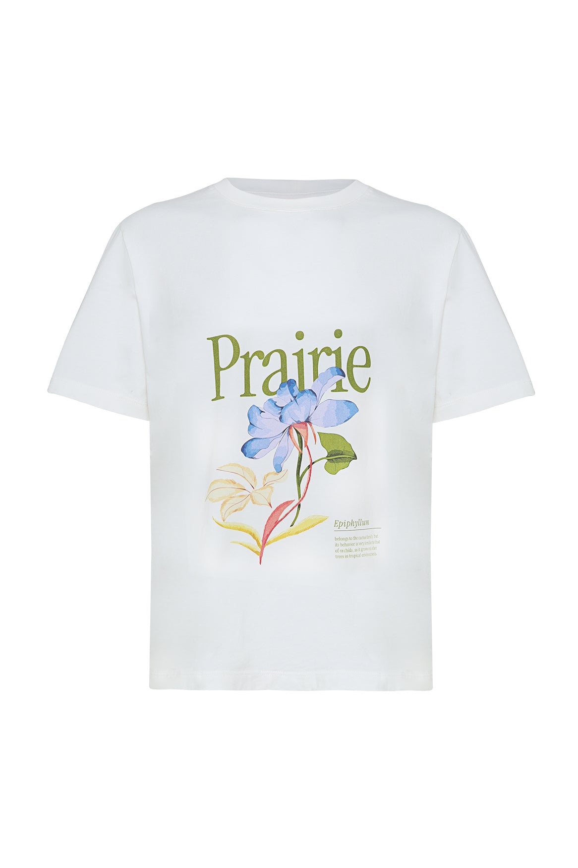 CAMISETA MAYA GARDEN