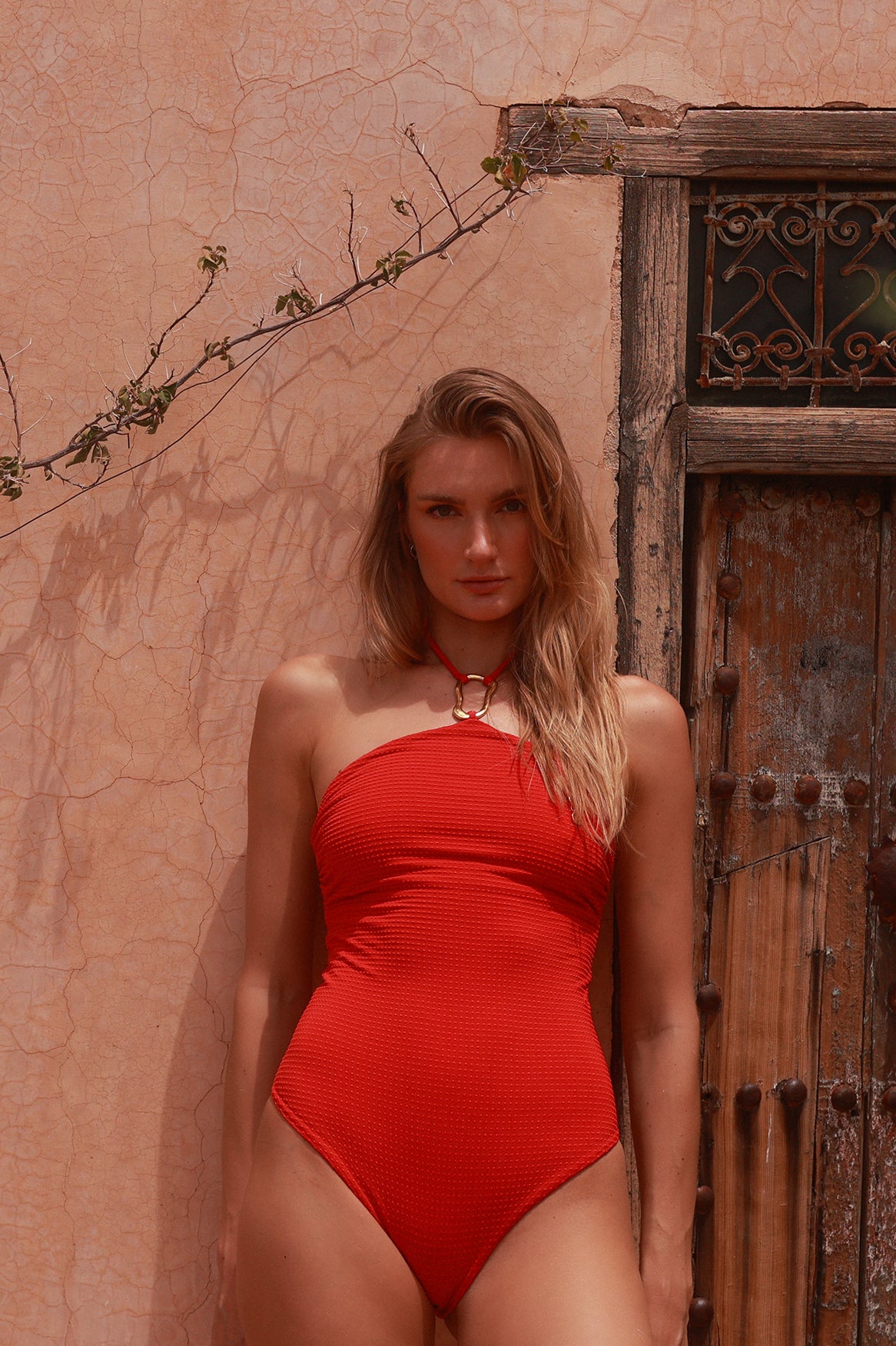 ENTERO ZELLA FLARE